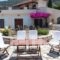 Pleoussa Studio and Apartments_lowest prices_in_Apartment_Sporades Islands_Skopelos_Skopelos Chora