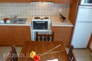 Vangelis Apartments_best deals_Apartment_Ionian Islands_Corfu_Aghios Stefanos