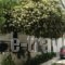 Hotel Asteria_best deals_Hotel_Aegean Islands_Ikaria_Agios Kirykos