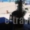 Enplo Apartments_best deals_Apartment_Crete_Chania_Kissamos