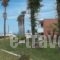 Jonathan Studio Apartments_holidays_in_Apartment_Dodekanessos Islands_Kos_Tigaki