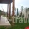 Villa Eleftheria_holidays_in_Villa_Ionian Islands_Corfu_Corfu Rest Areas