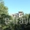 Villa Ermis_best deals_Villa_Crete_Chania_Vryses Apokoronas