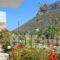 Alexis Apartments_best prices_in_Apartment_Crete_Chania_Akrotiri