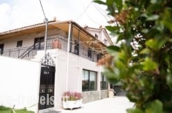 Jo Marinis Rooms_s __1