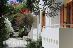 Michael Apartments_s __1