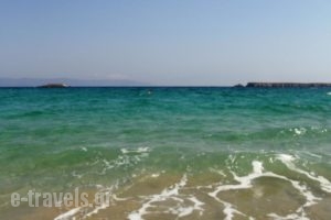 Blue Dolphin_holidays_in_Hotel_Cyclades Islands_Antiparos_Antiparos Chora