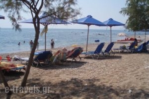 Alexandros Apartments_best deals_Apartment_Thessaly_Magnesia_Pilio Area