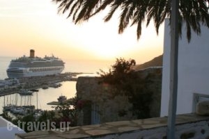 Vista Loca_best prices_in_Hotel_Cyclades Islands_Mykonos_Mykonos ora