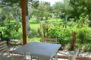 Akti Studios_best prices_in_Hotel_Ionian Islands_Lefkada_Lefkada's t Areas