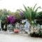Prasino Oniro_best prices_in_Hotel_Cyclades Islands_Tinos_Tinosora