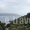 Kapsalis Apartments_travel_packages_in_Aegean Islands_Samos_MarathoKambos