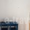 Kapsalis Apartments_best deals_Apartment_Aegean Islands_Samos_MarathoKambos