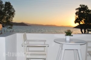 Ippokampos Beachfront_holidays_in_Hotel_Cyclades Islands_Naxos_Naxos Chora