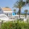 Grande Dame Villa_holidays_in_Villa_Dodekanessos Islands_Rhodes_Stegna