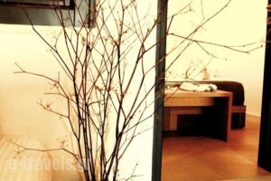Gabbiano Apartments_travel_packages_in_Cyclades Islands_Sandorini_Oia