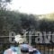 Studios Anna_best prices_in_Hotel_Ionian Islands_Zakinthos_Laganas
