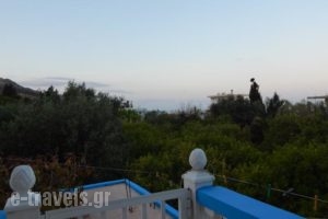 Afroditi Studios_best deals_Hotel_Dodekanessos Islands_Rhodes_Stegna