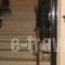 Hotel Menel_best prices_in_Hotel_Aegean Islands_Thasos_Limenaria
