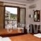 Litsa & Rosa Studios_holidays_in_Hotel_Ionian Islands_Zakinthos_Alykes