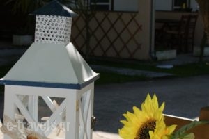 Paradise Garden Studios_best deals_Hotel_Aegean Islands_Thasos_Thasos Chora