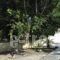 Chouzourakis Studios_lowest prices_in_Hotel_Crete_Heraklion_Viannos
