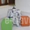 Chouzourakis Studios_best prices_in_Hotel_Crete_Heraklion_Viannos