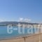 Haraki Village_holidays_in_Hotel_Dodekanessos Islands_Rhodes_Rhodes Areas