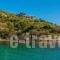 Thalassokipos_best deals_Hotel_Macedonia_Halkidiki_Chalkidiki Area