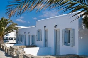 Margie Mykonos Tel_travel_packages_in_Cyclades Islands_Mykonos_Mykonos ora