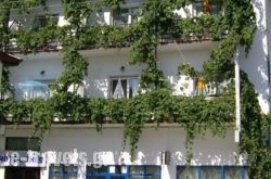 Hotel Theo_s __1