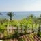 Afroditi Beach_travel_packages_in_Macedonia_Halkidiki_Poligyros