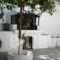 Anastasia'S Garden_best deals_Hotel_Dodekanessos Islands_Rhodes_Stegna