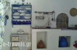 Anastasia'S Garden_s __1