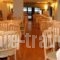 Delphi Art Hotel_best deals_Hotel_Central Greece_Attica_Athens