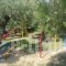 Bungalows Camping Kouyoni_best prices_in_Hotel_Macedonia_Halkidiki_Poligyros