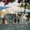 Oasis Azolimnos_travel_packages_in_Cyclades Islands_Syros_Azolimnos
