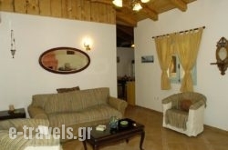 Logothetis Farm_s __1