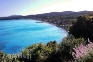 Paraskevi Apartments_best prices_in_Apartment_Ionian Islands_Corfu_Corfu Rest Areas