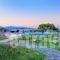 Apollonia Beach Resort' Spa_best prices_in_Hotel_Crete_Heraklion_Ammoudara