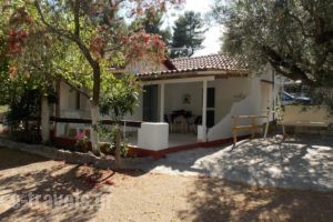 Peter'S Village_best prices_in_Hotel_Thessaly_Magnesia_Pilio Area
