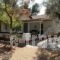 Peter'S Village_best prices_in_Hotel_Thessaly_Magnesia_Pilio Area