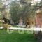 Iliana Villas_lowest prices_in_Villa_Ionian Islands_Lefkada_Lefkada Chora