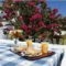 Hotel Agterra_best deals_Hotel_Cyclades Islands_Naxos_Naxos chora