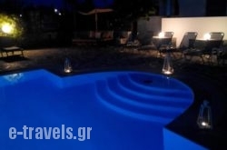 Zoumis Studios_s __1