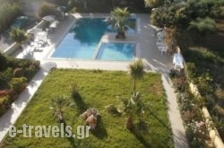 Stork Hotel_s __1