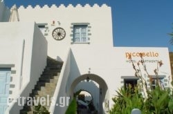 Pico Bello_s __1