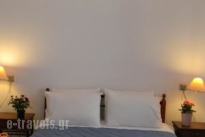 Villa Kalomira_holidays_in_Villa_Piraeus Islands - Trizonia_Spetses_Spetses Chora