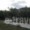 Villa Lefkas_travel_packages_in_Ionian Islands_Lefkada_Lefkada's t Areas