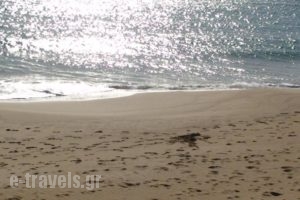 Lindia Thalassa_lowest prices_in_Hotel_Dodekanessos Islands_Rhodes_Pefki